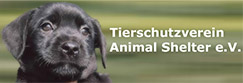 Animal Shelter