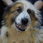 Beethoven 3