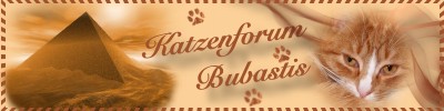 Bubastis - Das Katzenforum f&uuml;r Katzenfreunde -