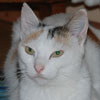 Carmina