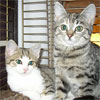 Lilly und Luna