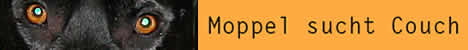 Moppel sucht Couch