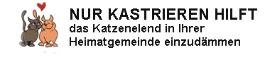 Nur kastrieren hilft, das Katzenelend in Ihrer Heimatgemeinde einzud&auml;mmen