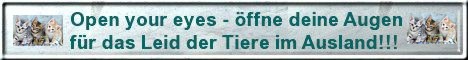 Open your eyes - &ouml;ffne deine Augen f&uuml;r das Leid der Tiere im Ausland