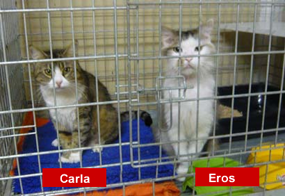 Eros und Carla