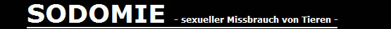 Sodomie