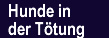Hunde in der T&ouml;tung