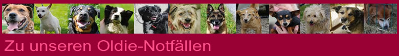 Zu unseren Oldie Notfällen