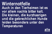 Winternotf&auml;lle