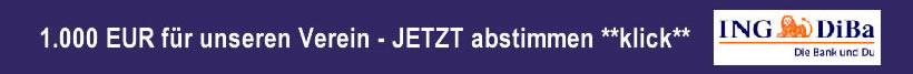 1000 Euro - jetzt abstimmen