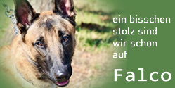 Falco