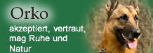 Orko