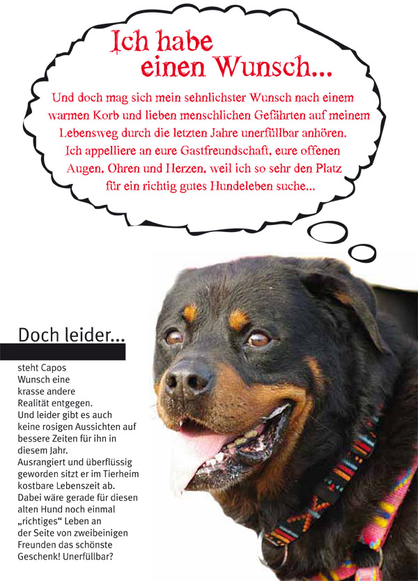 Capos sehnlichster Weihnachtswunsch