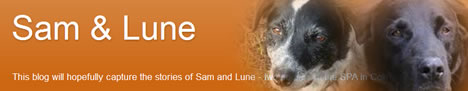 http://adoptionsam.blogspot.com/