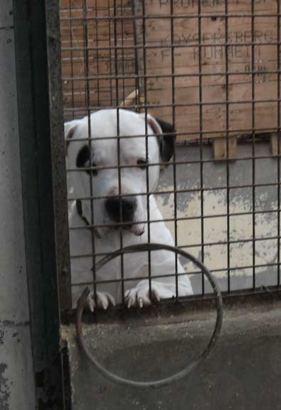 Booster hinter Gittern