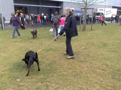 Caline auf der Hundemesse