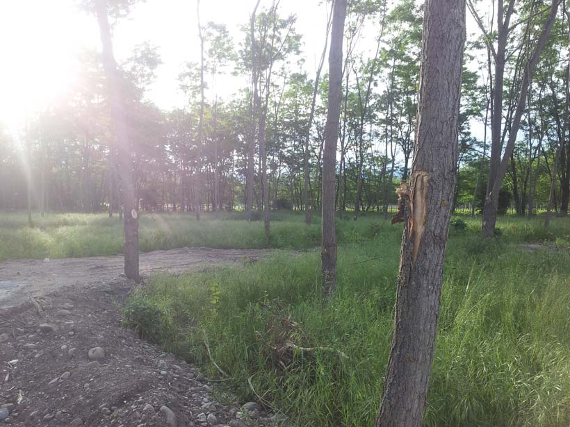 Neues S.P.A. Colmar im Mai 2012