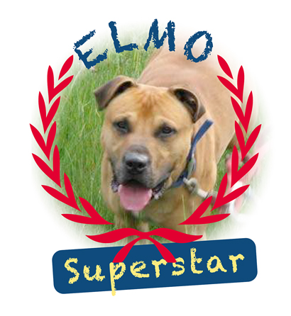 Rudellaufen Oktober 2011