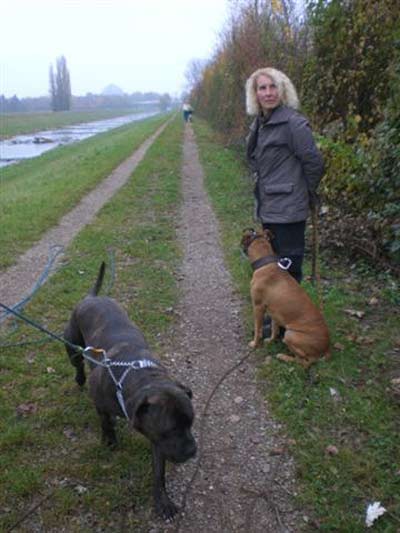 Elmo trainiert für den Wesenstest