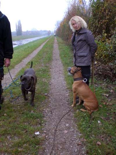 Elmo trainiert für den Wesenstest