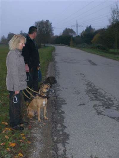 Elmo trainiert für den Wesenstest