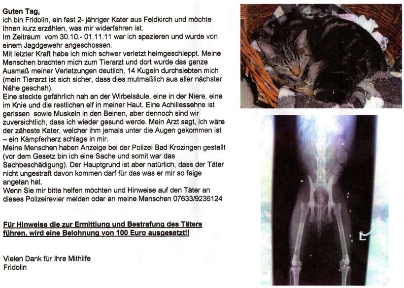 Fridolin wurde angeschossen