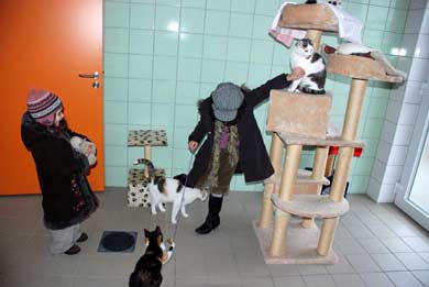 Fuji, Floram und Haribo bekamen Besuch