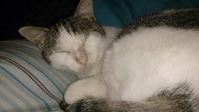 Fuji, Floram und Haribo bekamen Besuch