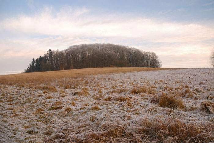 Herbst - Bald kommt sie wieder die Jahreszeit vor der wir uns fürchten :-(