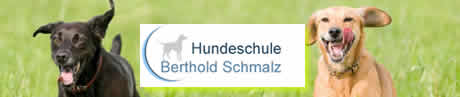 http://www.hundeschule-schmalz.de