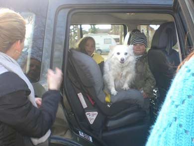 Peewee Interessenten