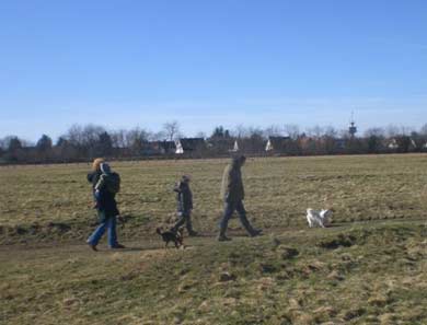 Peewee Interessenten