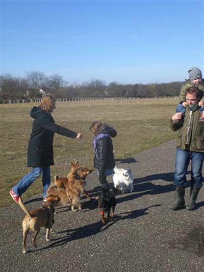 Peewee Interessenten