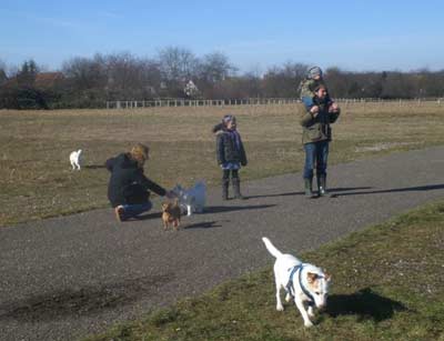 Peewee Interessenten