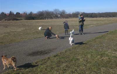 Peewee Interessenten