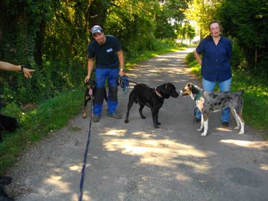 Rudellaufen Oktober 2011