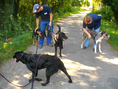 Rudellaufen Oktober 2011