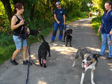 Rudellaufen Oktober 2011