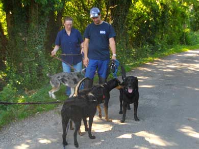 Rudellaufen Oktober 2011