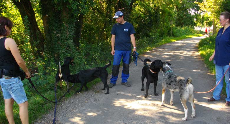 Rudellaufen Oktober 2011
