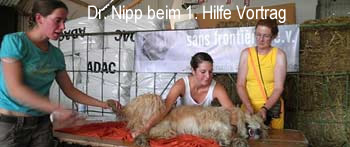 Dr. Nipp beim 1. Hilfe Vortrag