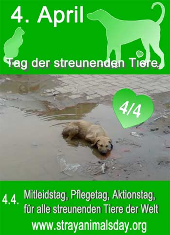 Tag der streunenden Tiere am 4.4.