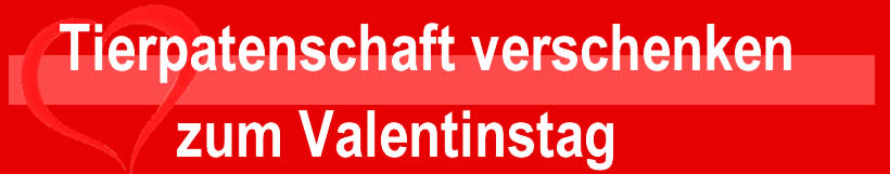 Spenden-Marathon - aktuelle finanzielle Notflle