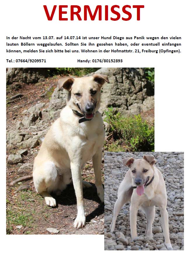 Beagle YQUEM im April 2014 verloren oder gestohlen?