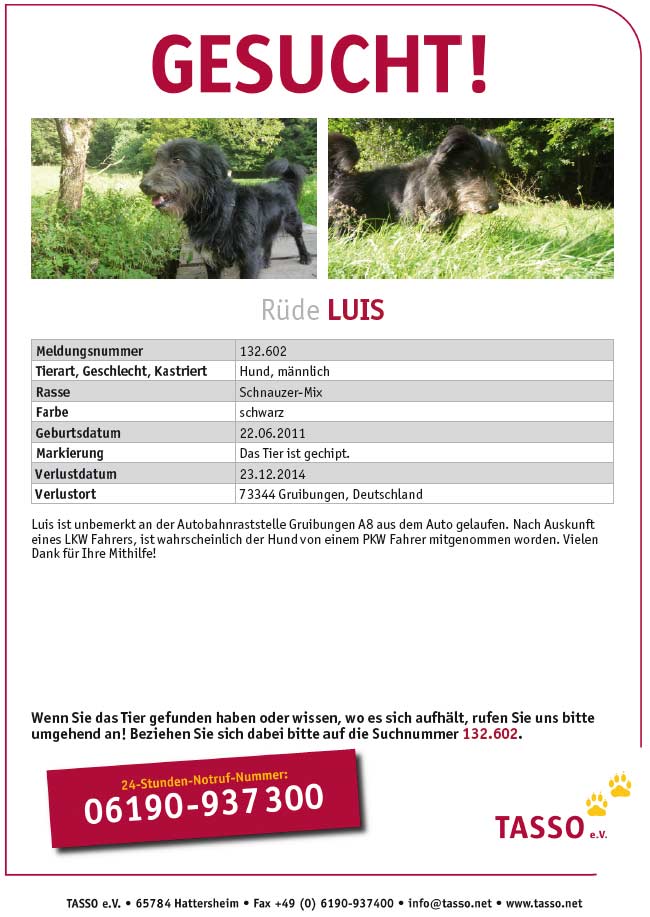 Hund Luis am 23.12.14 bei 73344 Gruibungen, Deutschland vermisst