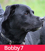 Bobby