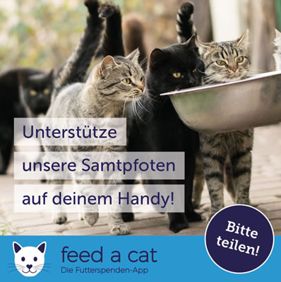 Feed a dog - Futterspenden