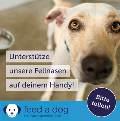 Feed a dog - Futterspenden