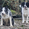 Gaia & Nila