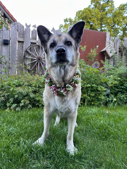 Gina